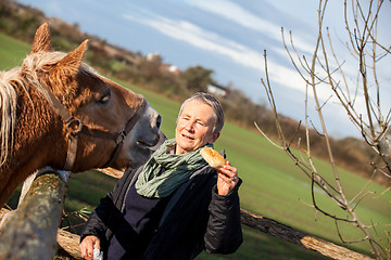 Image showing Elderly couple petting a horse in a paddock