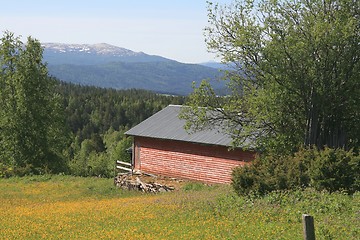 Image showing Pasture