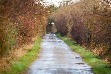 Image showing landscape and street in autumn spring outdoor 