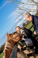 Image showing Elderly couple petting a horse in a paddock