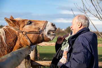 Image showing Elderly couple petting a horse in a paddock