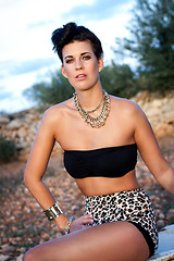 Image showing Glamorous woman in animal print shorts