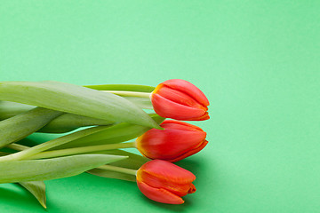 Image showing Beautiful fresh red tulips for a loved one