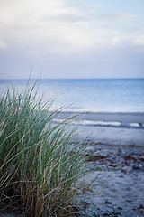 Image showing beautiful landscape dunes baltic sea in autumn winter