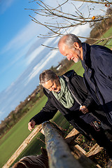 Image showing Elderly couple petting a horse in a paddock