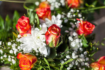 Image showing Background of colourful vivid summer flowers