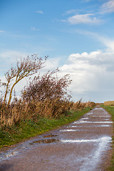 Image showing landscape and street in autumn spring outdoor 