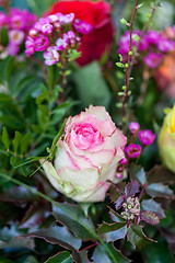 Image showing Background of colourful vivid summer flowers