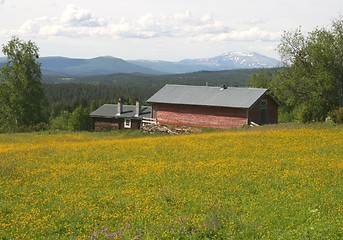 Image showing Pasture