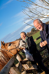 Image showing Elderly couple petting a horse in a paddock