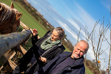 Image showing Elderly couple petting a horse in a paddock