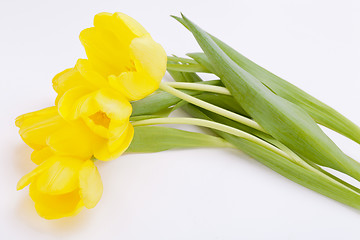 Image showing Bunch of cheerful yellow tulips