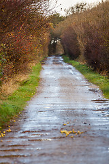 Image showing landscape and street in autumn spring outdoor 