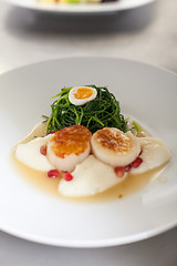 Image showing Delicious starter of stuffed savoury eggs and scallops