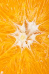 Image showing Fresh orange halved to show the pulp