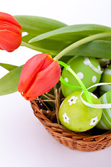 Image showing beautiful easter egg decoration colorfull eggs seasonal pastel 