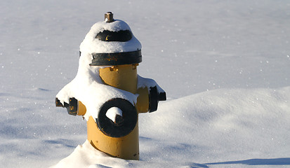 Image showing fire hydrant in snow