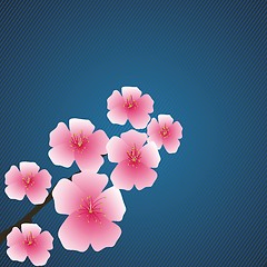 Image showing pink flowers