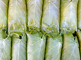 Image showing Grape leafs