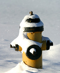 Image showing fire hydrant covered in snow