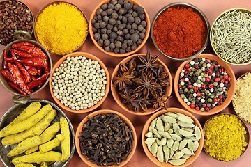 Image showing Spices