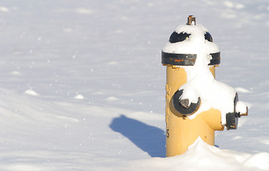 Image showing fire hydrant in the snow