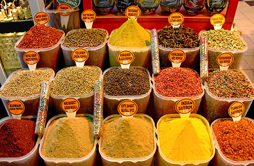 Image showing Spices