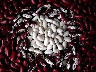 Image showing beans