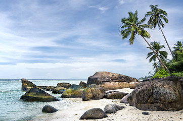 Image showing Spectacular  palm-fringed  beach of tropical island