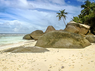 Image showing Deserted  beach of tropical island