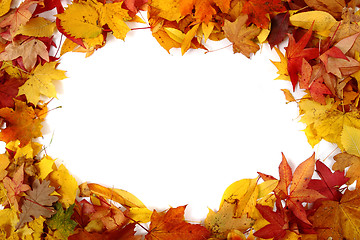 Image showing autumnal leaves background