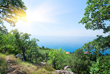 Image showing Sun over sea