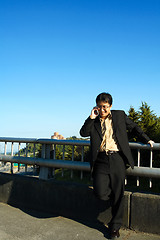 Image showing Businessman on the phone