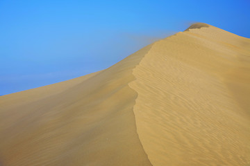 Image showing Desert Wind