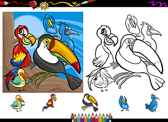 Image showing exotic birds cartoon coloring page set