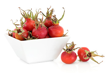 Image showing Rose Hip Fruit