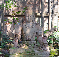 Image showing Buddha