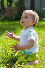 Image showing Cute baby boy sitting on the grass