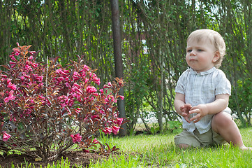 Image showing Little baby boy near pink bush