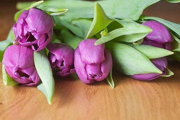 Image showing Violet tulips on the table