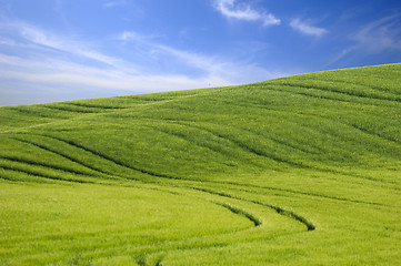 Image showing Green hill and blue sky