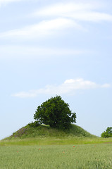 Image showing Tree on small hill