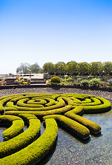 Image showing Garden Maze