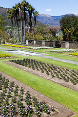 Image showing Villa Taranto garden