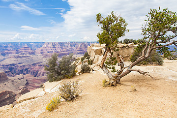 Image showing Grand Canyon