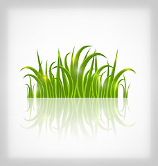 Image showing Green grass with reflection, isolated on white background