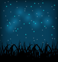 Image showing Night sky with grass field