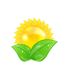 Image showing Eco friendly icon with sun and green leaves, isolated on white b