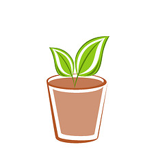 Image showing Flowerpot with green leafs plants