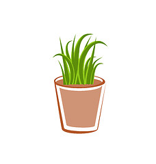 Image showing Flowerpot with green grass plants